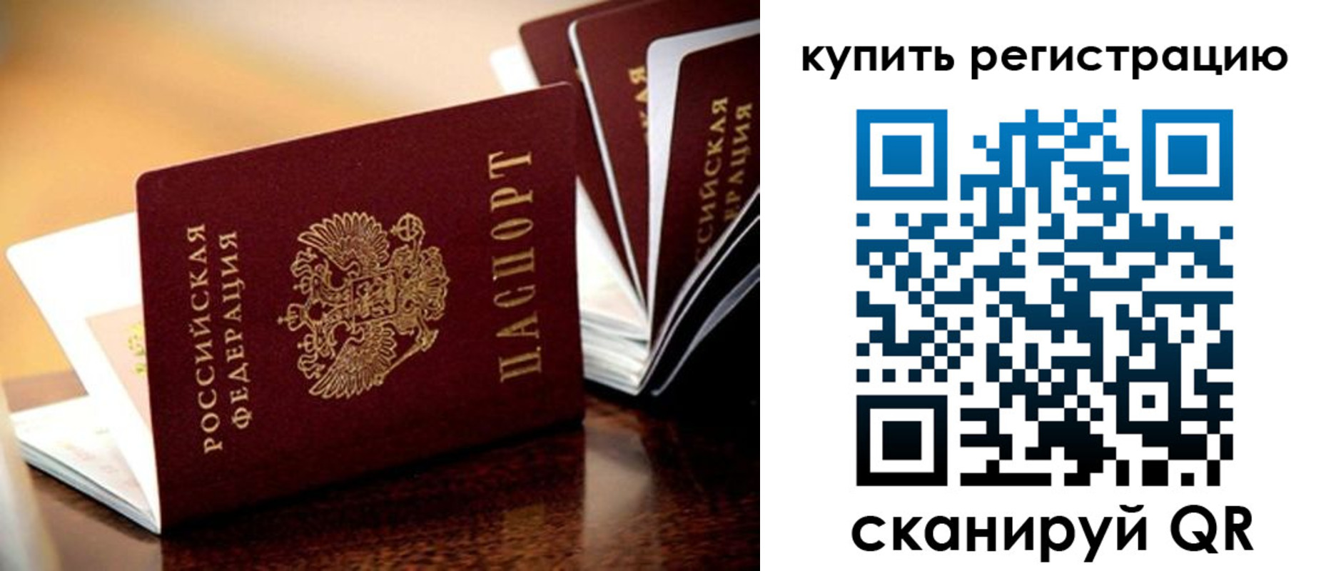 прописка 2025 в Купино